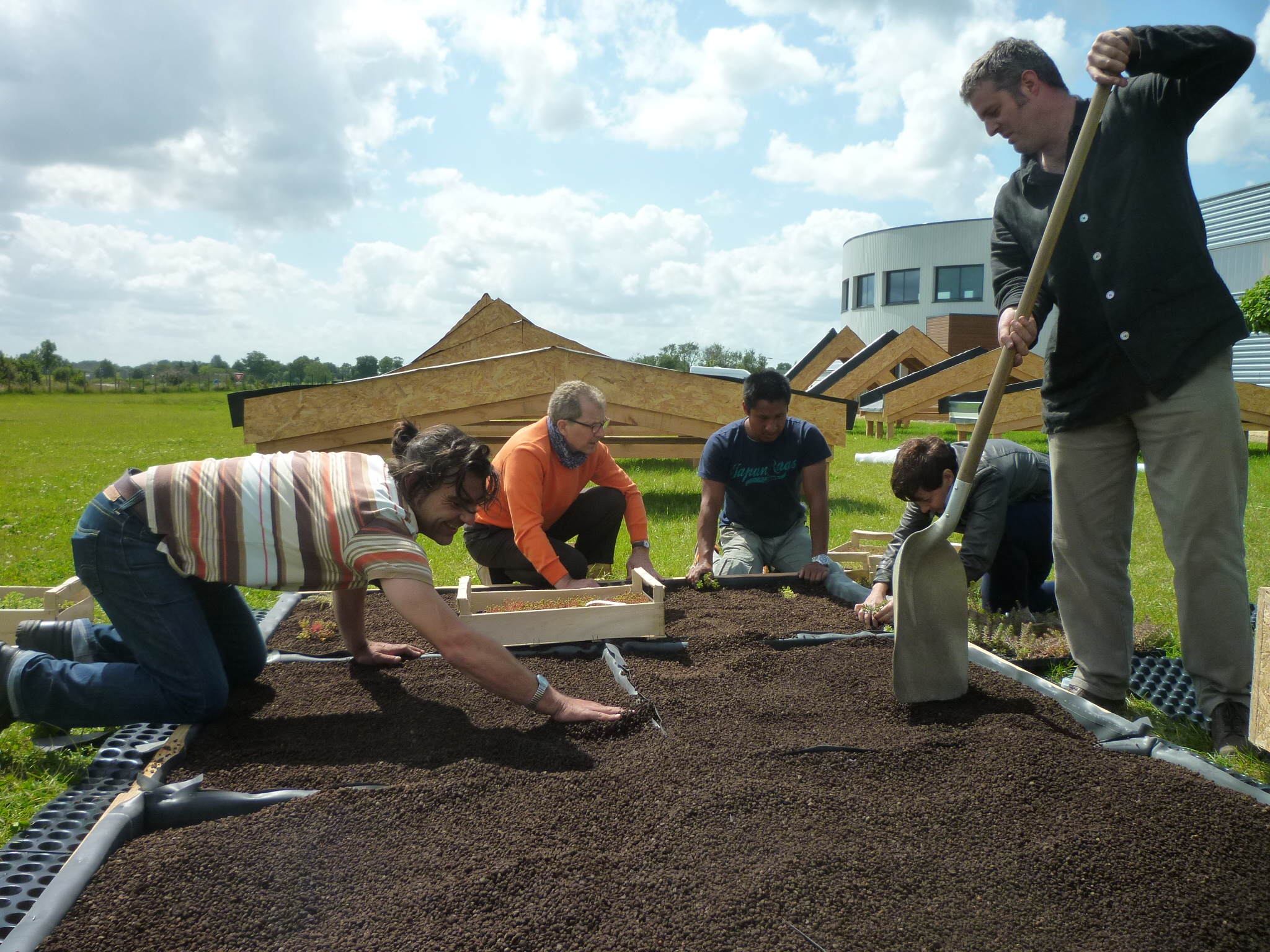 Formation-stage-pratique-toiture-végétale-extensive-sedum-Amaeva-Ouest-France